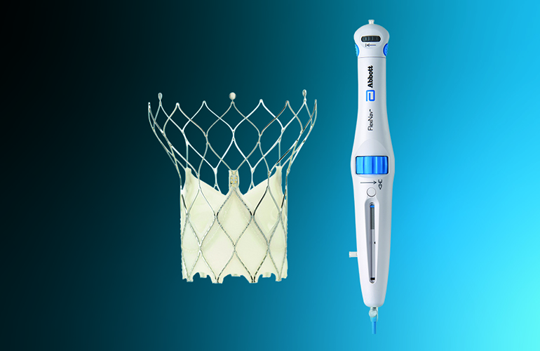 Abbott Portico with FlexNav TAVR system