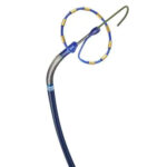 Medtronic PulseSelect Pulsed-Field Ablation technology