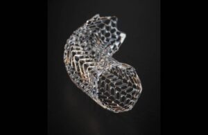 Gore Viafort vascular stent