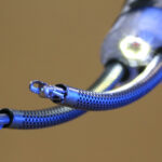 A photo of an endoscopic robot's curved arms with instruments at the end.