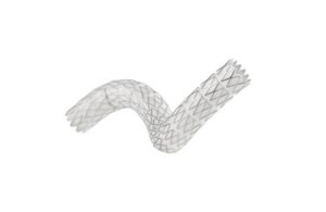 Gore VBX Stent Graft