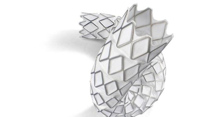 FDA approves Gore bridging stent graft in complex aortic aneurysms