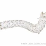 Gore Viabil endoprosthesis for distribution by Olympus