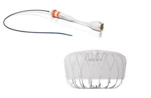 Boston Scientific Watchman FLX Siemens Healthineers AcuNav Volume 4D ICE Catheter