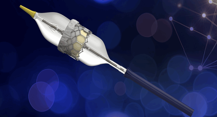Edwards Lifesciences, Medtronic score CMS win over TAVR