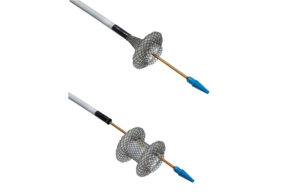This is a Boston Scientific illustration of its Axios stent and delivery system.