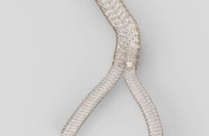 W.L. Gore Viabahn Fortegra venous stent (1)