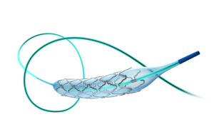 MicroPort Apollo Intracranial stent
