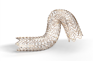 Gore Viabahn Fortegra venous stent
