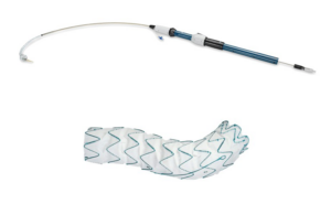 Terumo Relay Pro stent graft system