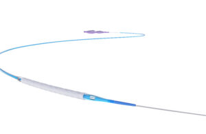 This is a marketing image of MicroPort's FireShield coronary covered stent system.